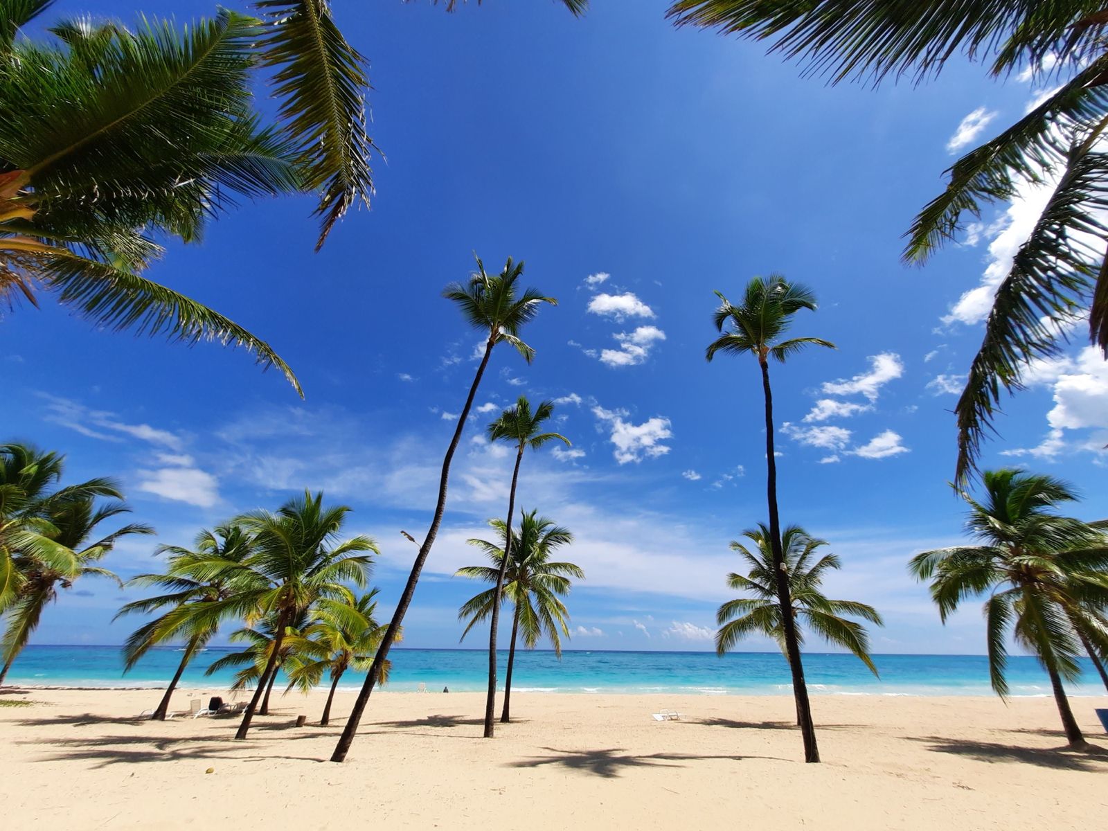 NAUTILUS BEACH RESIDENCES – Apartamentos y villas individuales – Ubicado a solo 5 minutos de la playa White Sand
